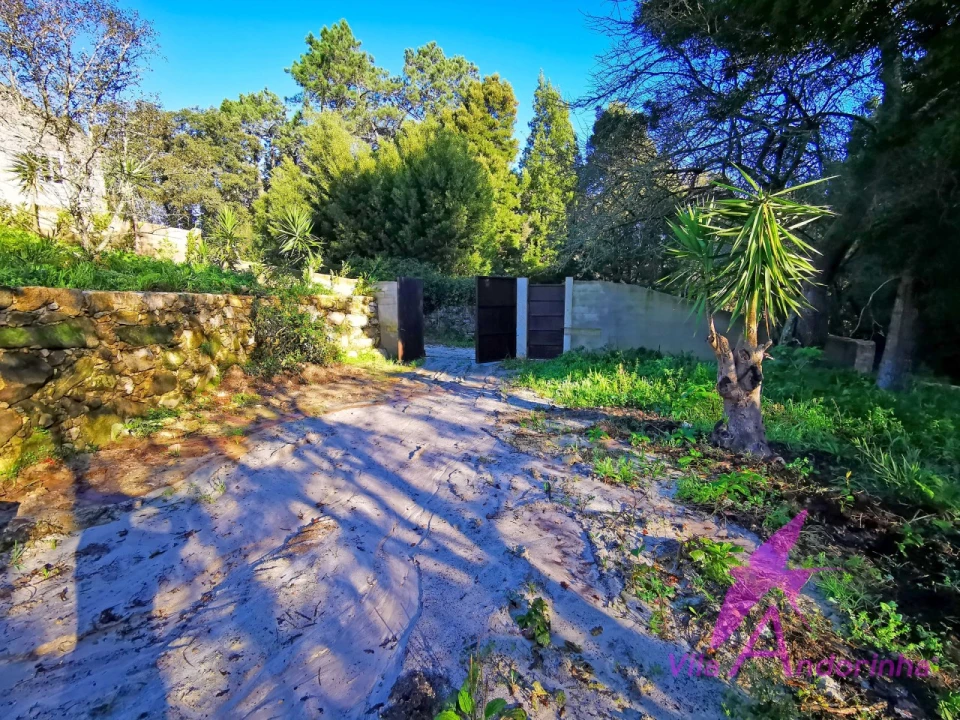Terreno para Venda em Ancora Foto 2