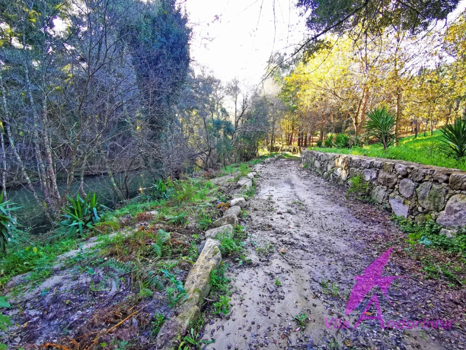 Terreno para Venda em Ancora Foto 26