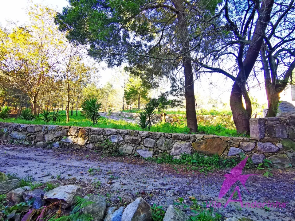 Terreno para Venda em Ancora Foto 29