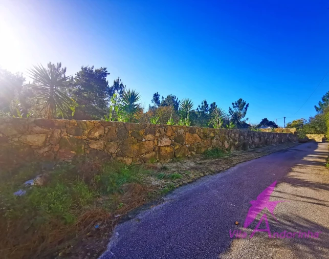 Terreno para Venda em Ancora Foto 4