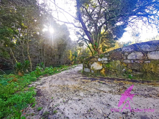 Terreno para Venda em Ancora Foto 19