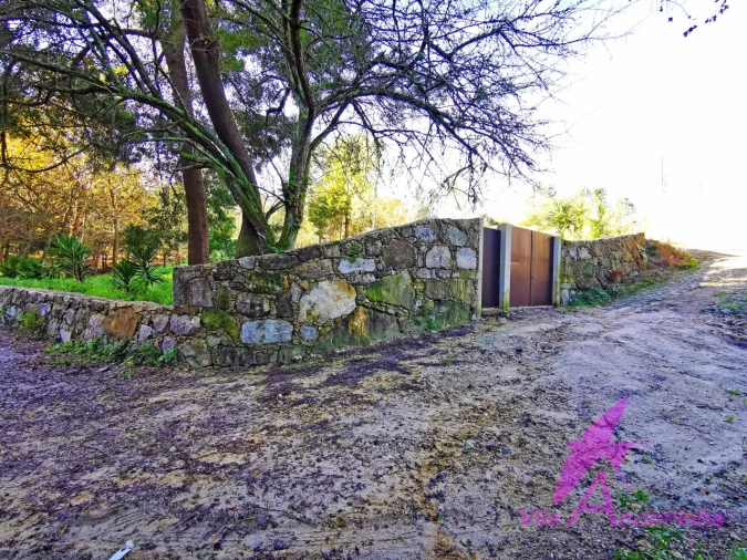 Terreno para Venda em Ancora