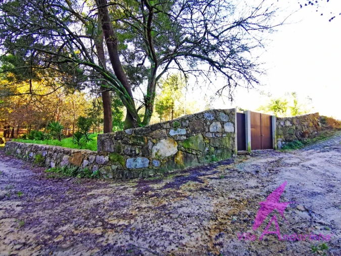 Terreno para Venda em Ancora Foto 14