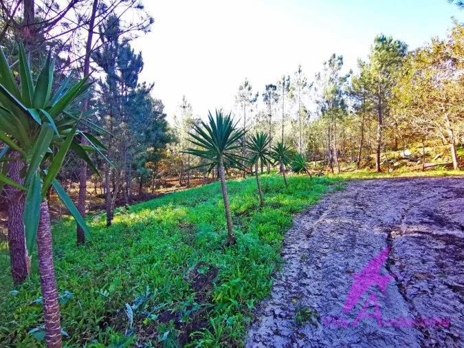 Terreno para Venda em Ancora Foto 16