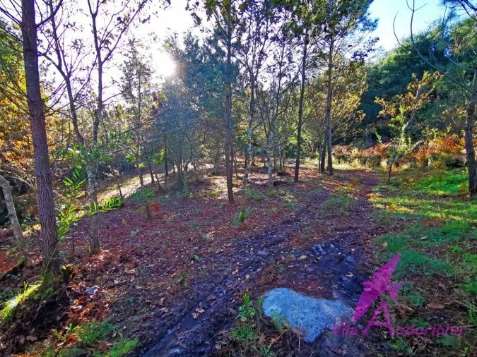 Terreno para Venda em Ancora Foto 7
