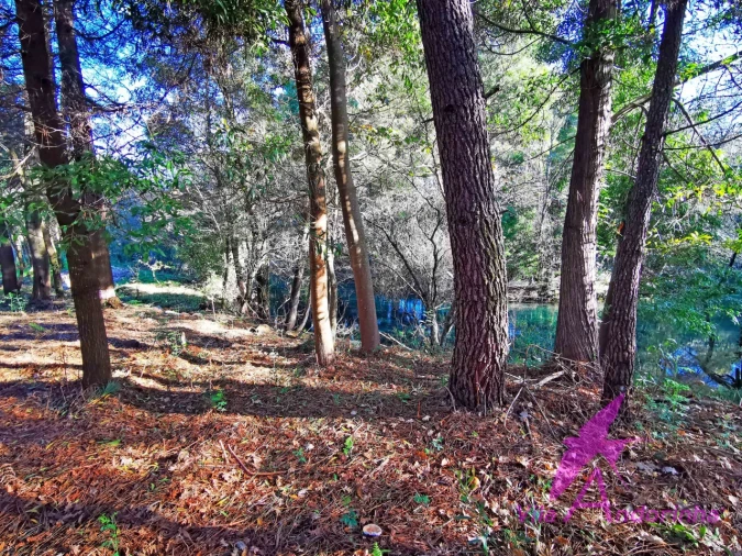 Terreno para Venda em Ancora Foto 9