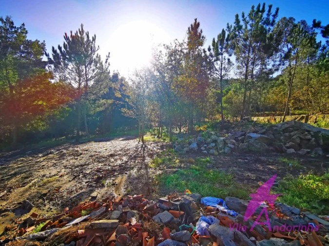 Terreno para Venda em Ancora Foto 23