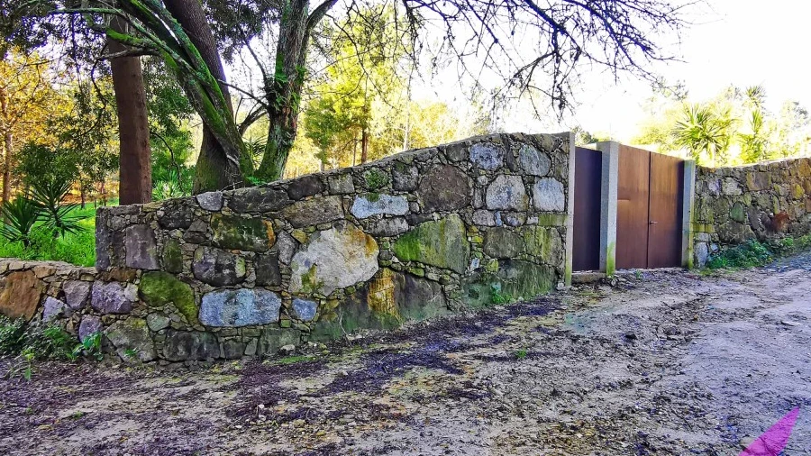 Terreno para Venda em Ancora