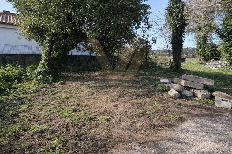 Terreno para Venda em Mazarefes e Vila Fria Foto 5