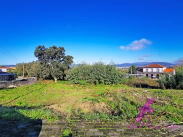 Terreno para Venda em Darque