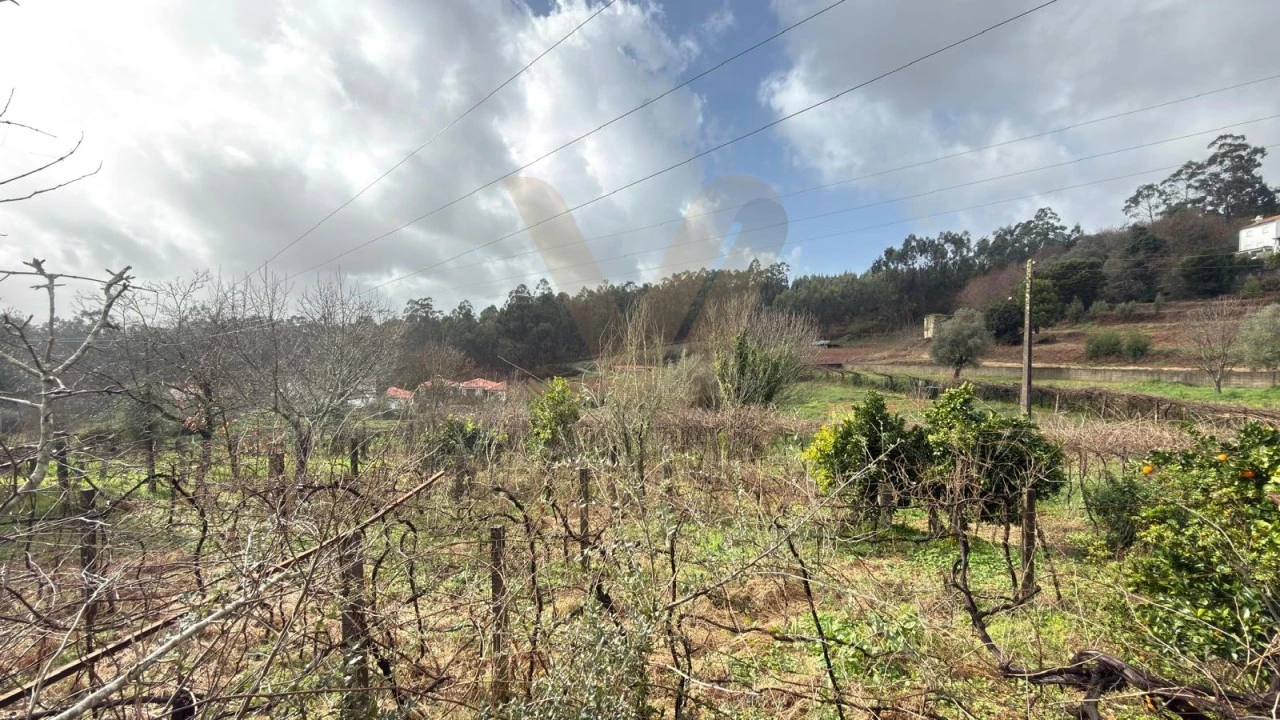 Terreno para Venda em Refoios do Lima Foto 7
