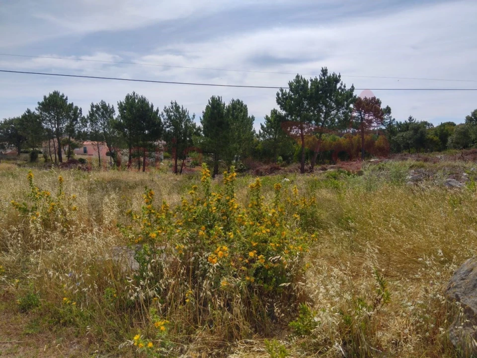 Terreno para Venda em Lourinhã e Atalaia Foto 4