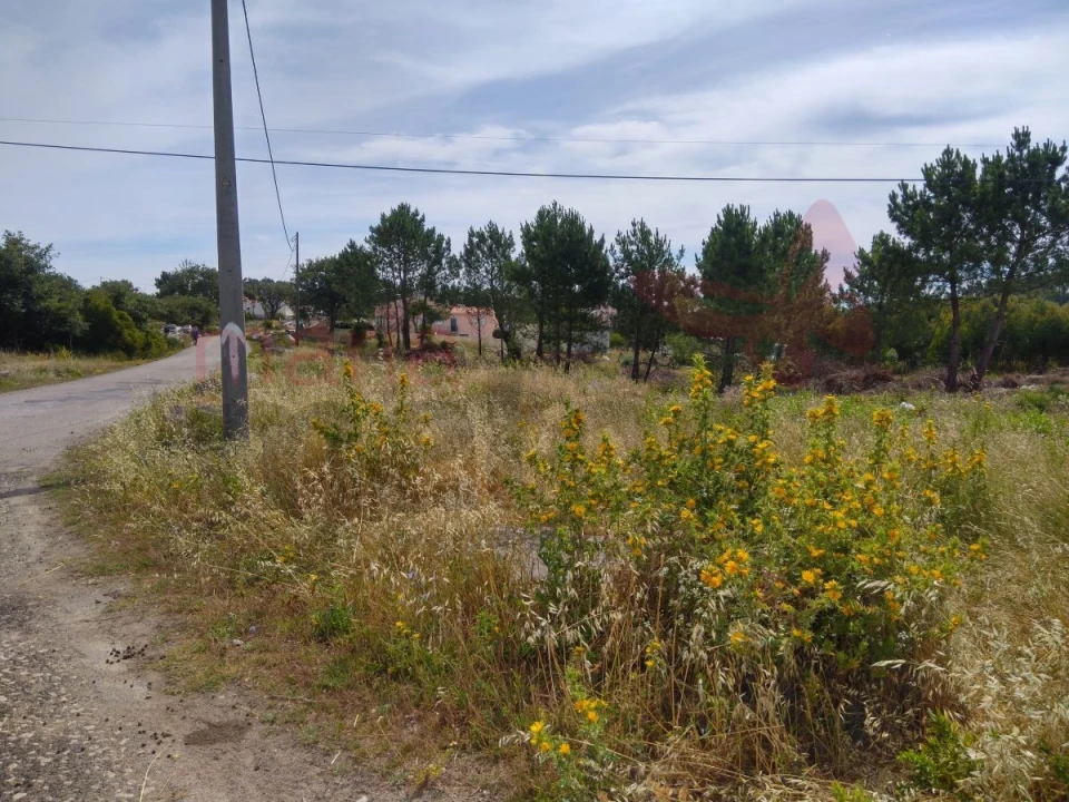 Terreno para Venda em Lourinhã e Atalaia Foto 5