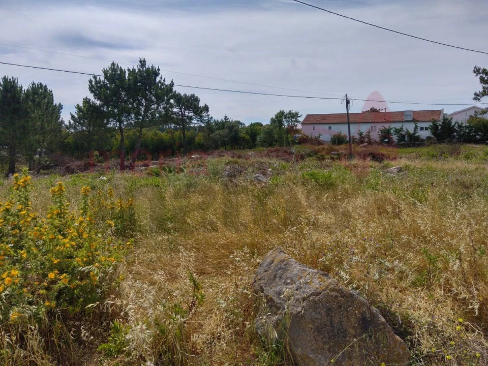 Terreno para Venda em Lourinhã e Atalaia Foto 2