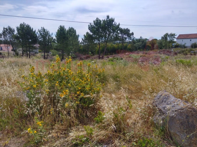 Terreno para Venda em Lourinhã e Atalaia Foto 6