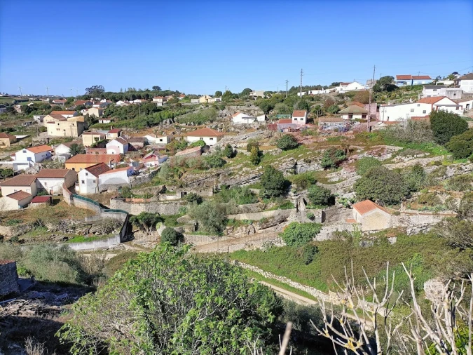 Terreno para Venda em Lourinhã e Atalaia Foto 10