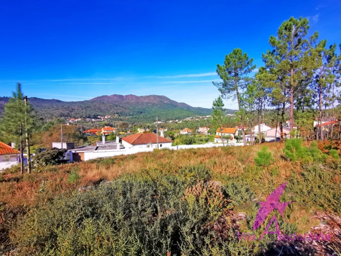 Terreno para Venda em Nogueira, Meixedo e Vilar de Murteda Foto 5