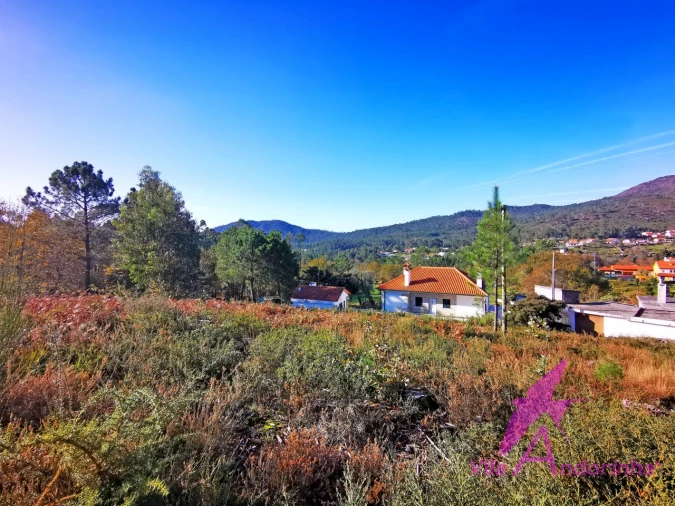 Terreno para Venda em Nogueira, Meixedo e Vilar de Murteda Foto 6