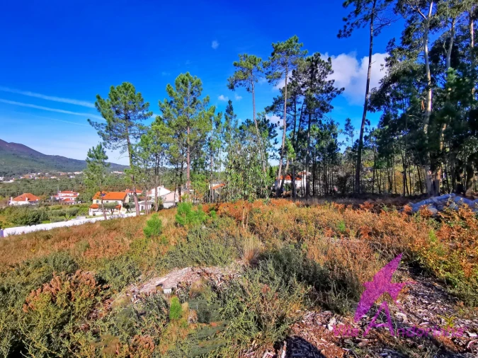 Terreno para Venda em Nogueira, Meixedo e Vilar de Murteda Foto 11