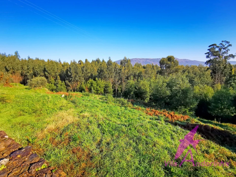 Terreno para Venda em Nogueira, Meixedo e Vilar de Murteda Foto 8