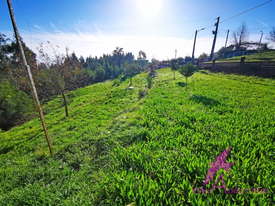 Terreno para Venda em Nogueira, Meixedo e Vilar de Murteda Foto 1