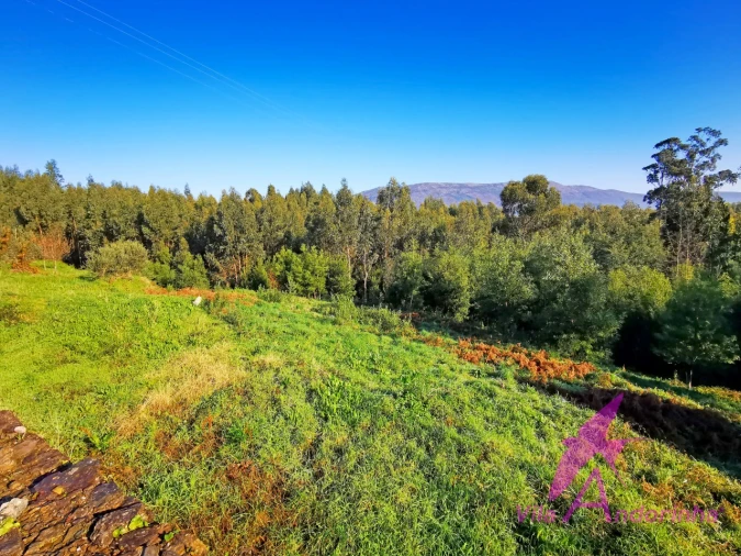 Terreno para Venda em Nogueira, Meixedo e Vilar de Murteda Foto 8