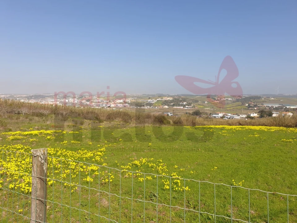 Terreno para Venda em Lourinhã e Atalaia Foto 4