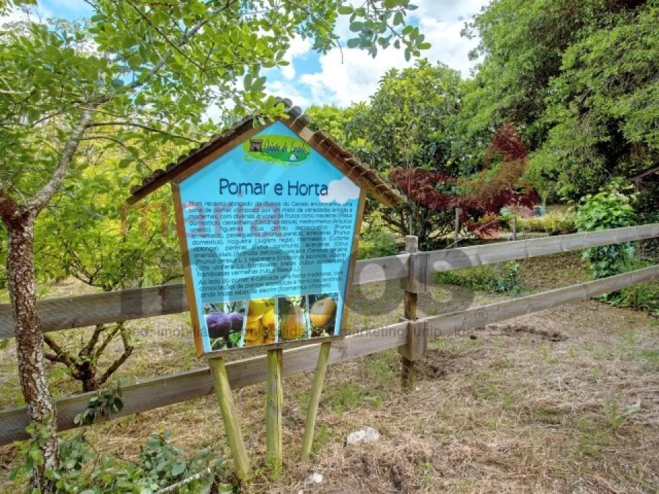 Terreno para Venda em Lourinhã e Atalaia Foto 10