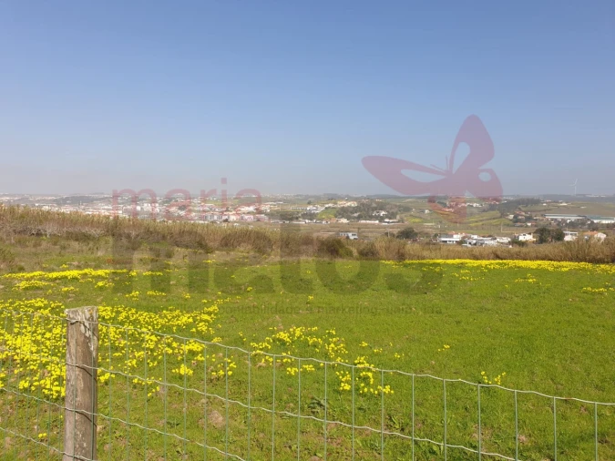 Terreno para Venda em Lourinhã e Atalaia Foto 4