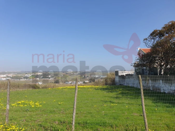 Terreno para Venda em Lourinhã e Atalaia Foto 6