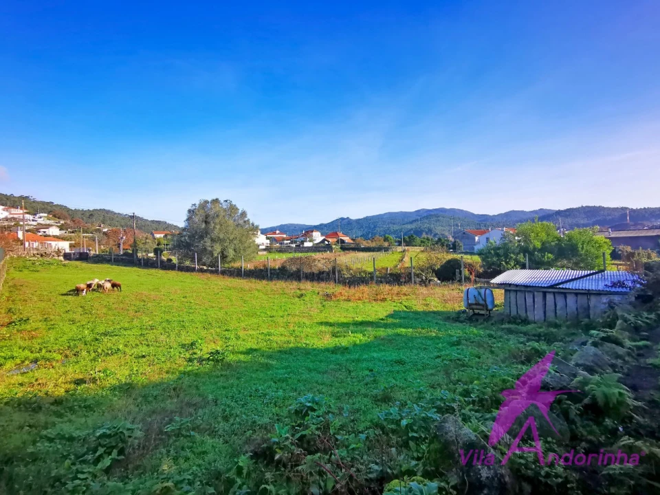 Terreno para Venda em Perre Foto 5
