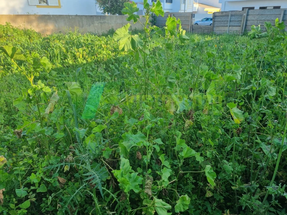 Terreno para Venda em Portimão Foto 12