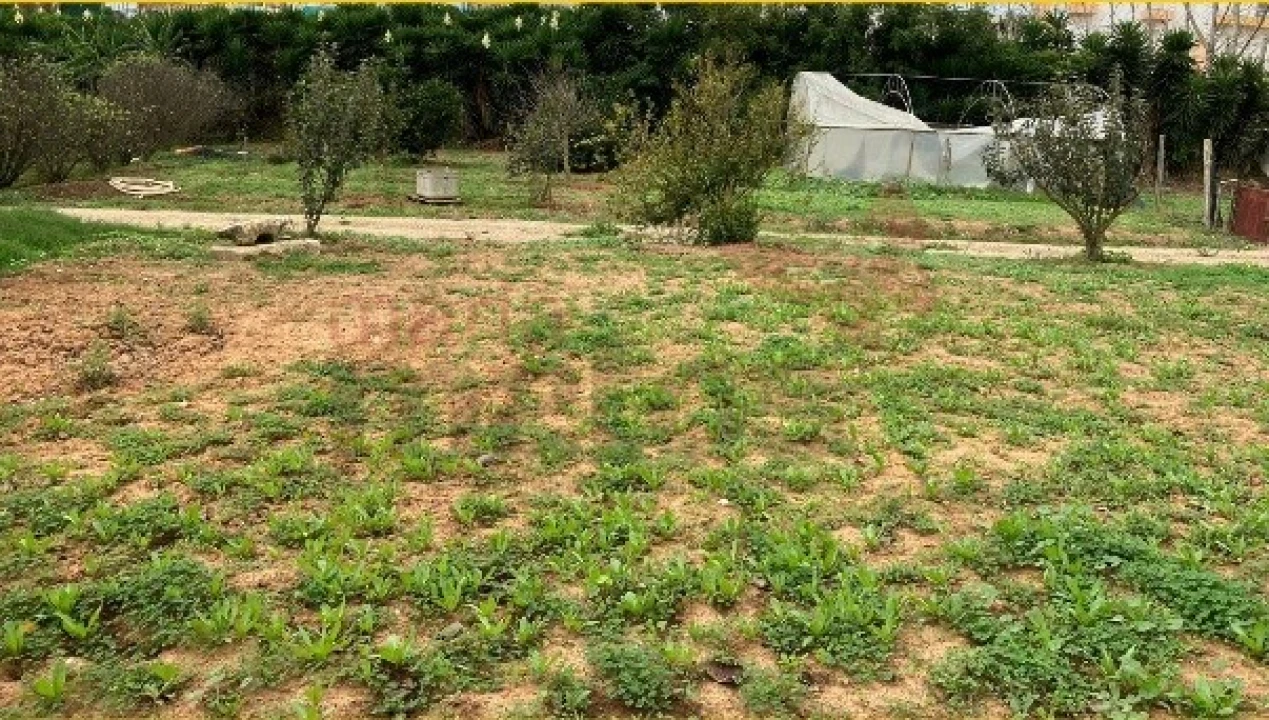 Terreno para Venda em Lourinhã e Atalaia Foto 1