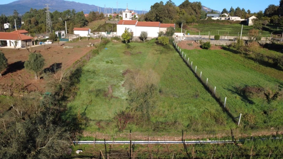 Terreno para Venda em Feitosa Foto 3