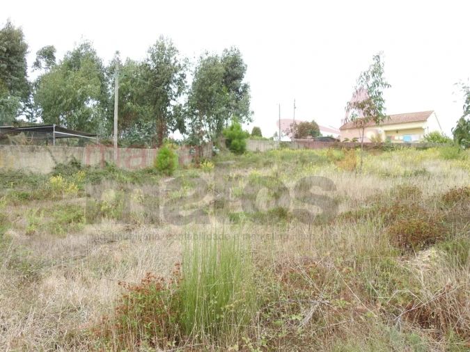 Terreno para Venda em Ramalhal Foto 3