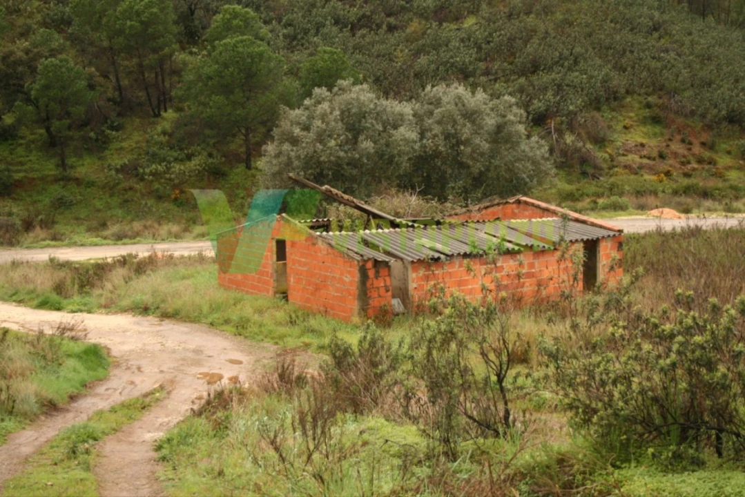 Terreno para Venda em Mexilhoeira Grande Foto 5