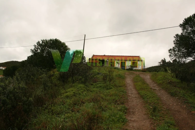Terreno para Venda em Mexilhoeira Grande