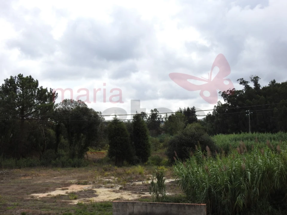 Terreno para Venda em Ramalhal Foto 2