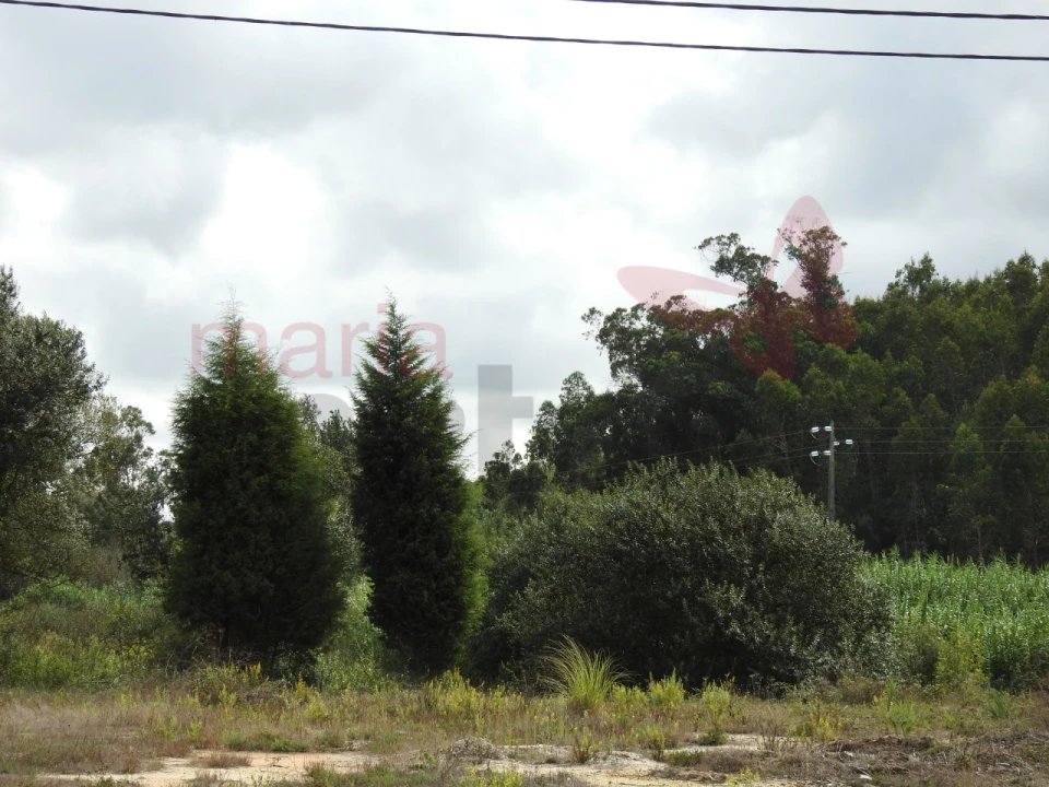 Terreno para Venda em Ramalhal Foto 11