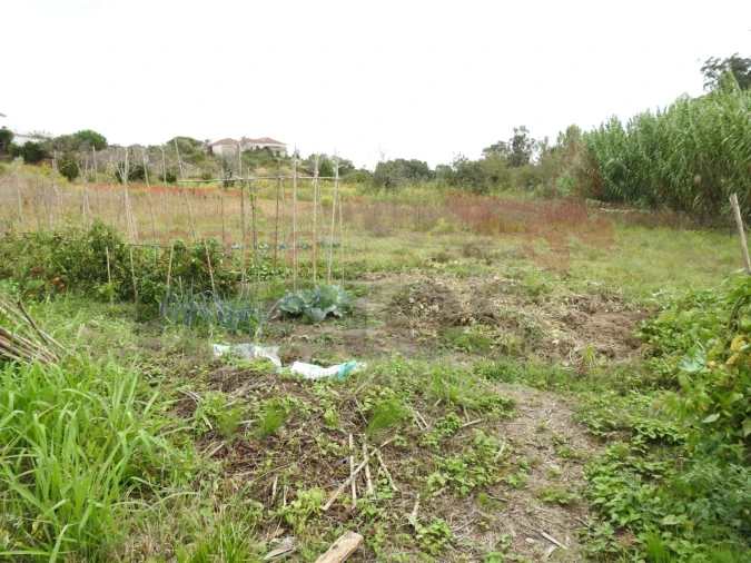 Terreno para Venda em Ramalhal Foto 4