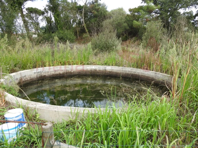 Terreno para Venda em Ramalhal Foto 5