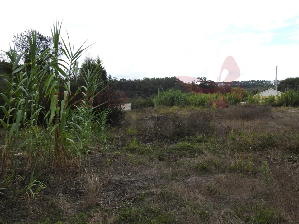 Terreno para Venda em Ramalhal Foto 3