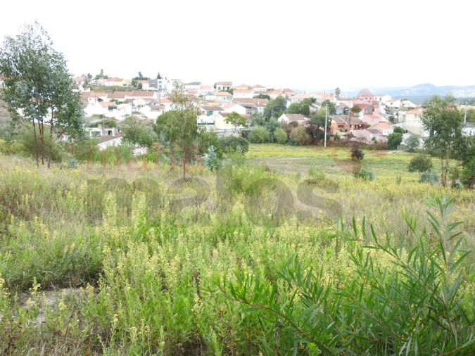 Terreno para Venda em Ramalhal