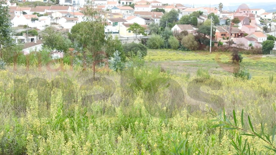 Terreno para Venda em Ramalhal
