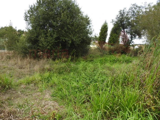 Terreno para Venda em Ramalhal Foto 3