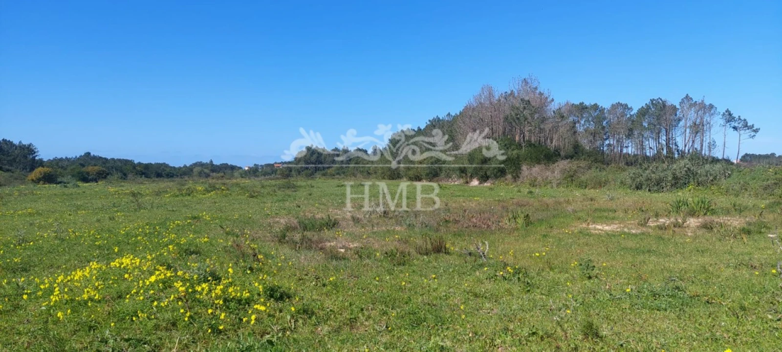 Terreno para Venda em Rogil Foto 5
