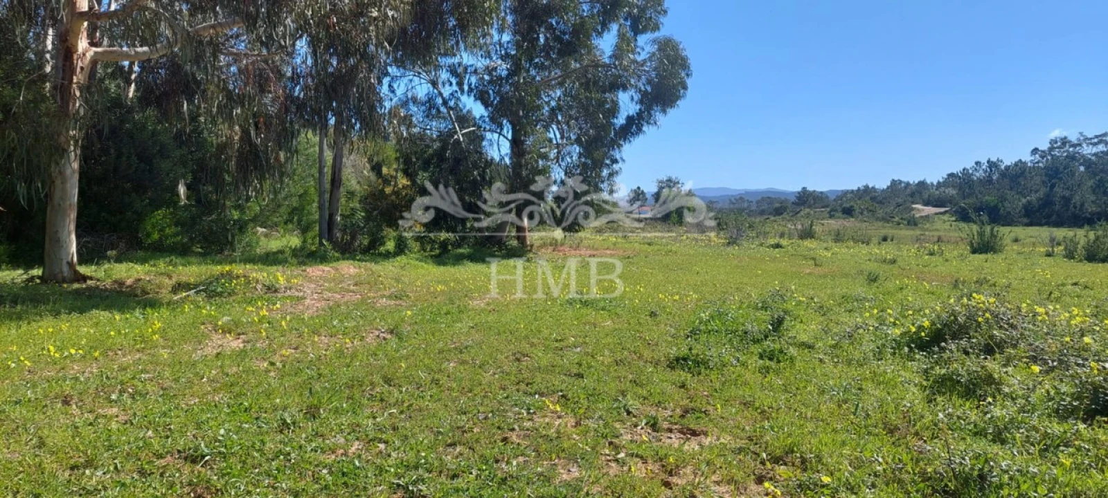 Terreno para Venda em Rogil Foto 7