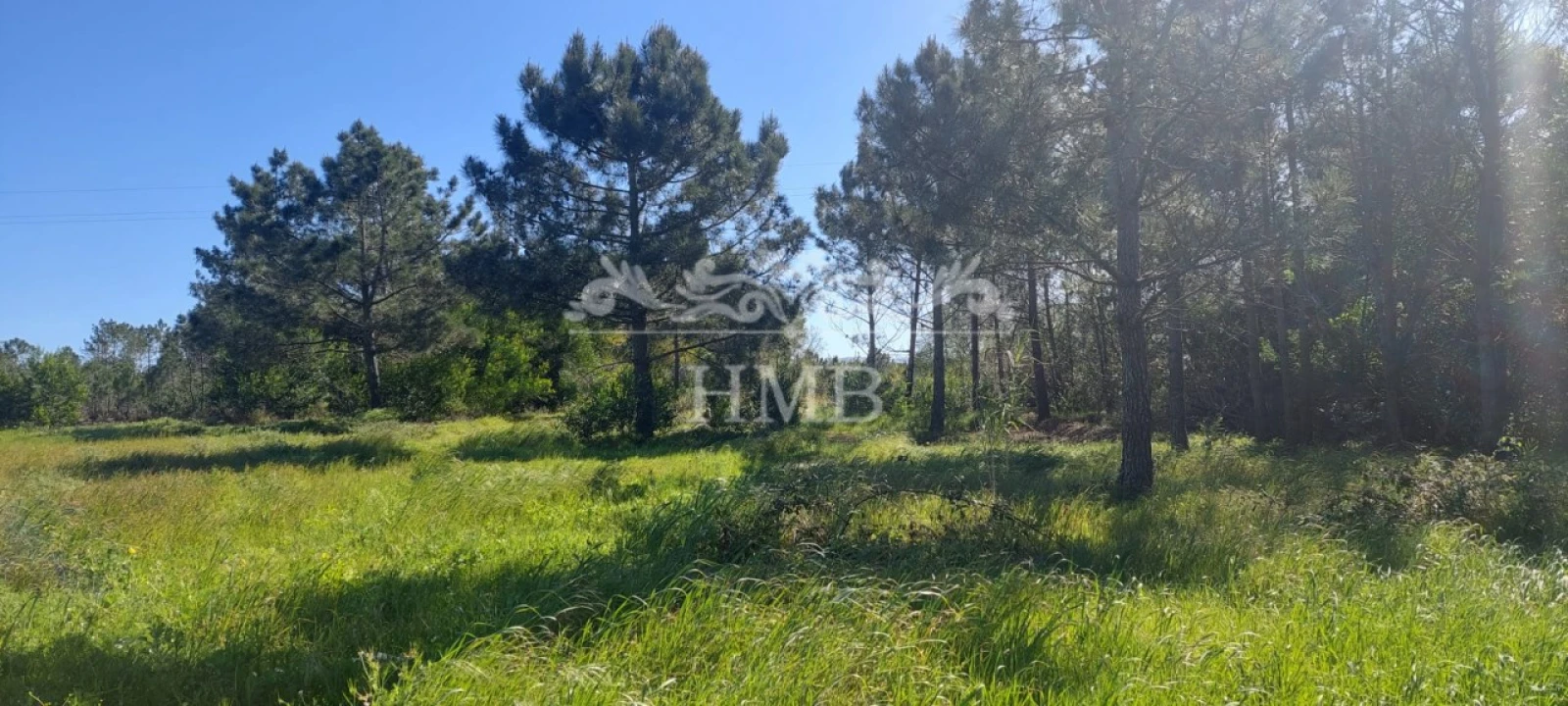 Terreno para Venda em Rogil Foto 8