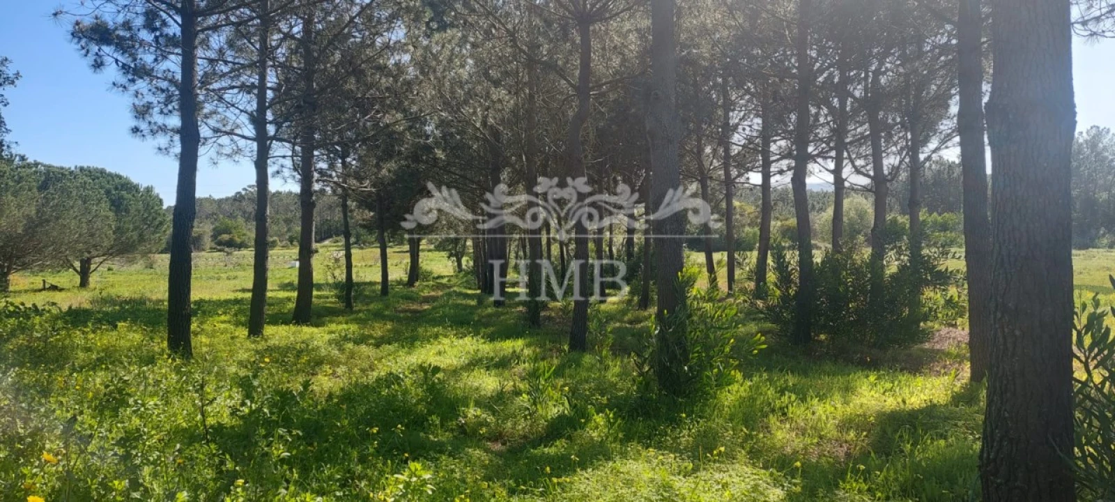 Terreno para Venda em Rogil Foto 11