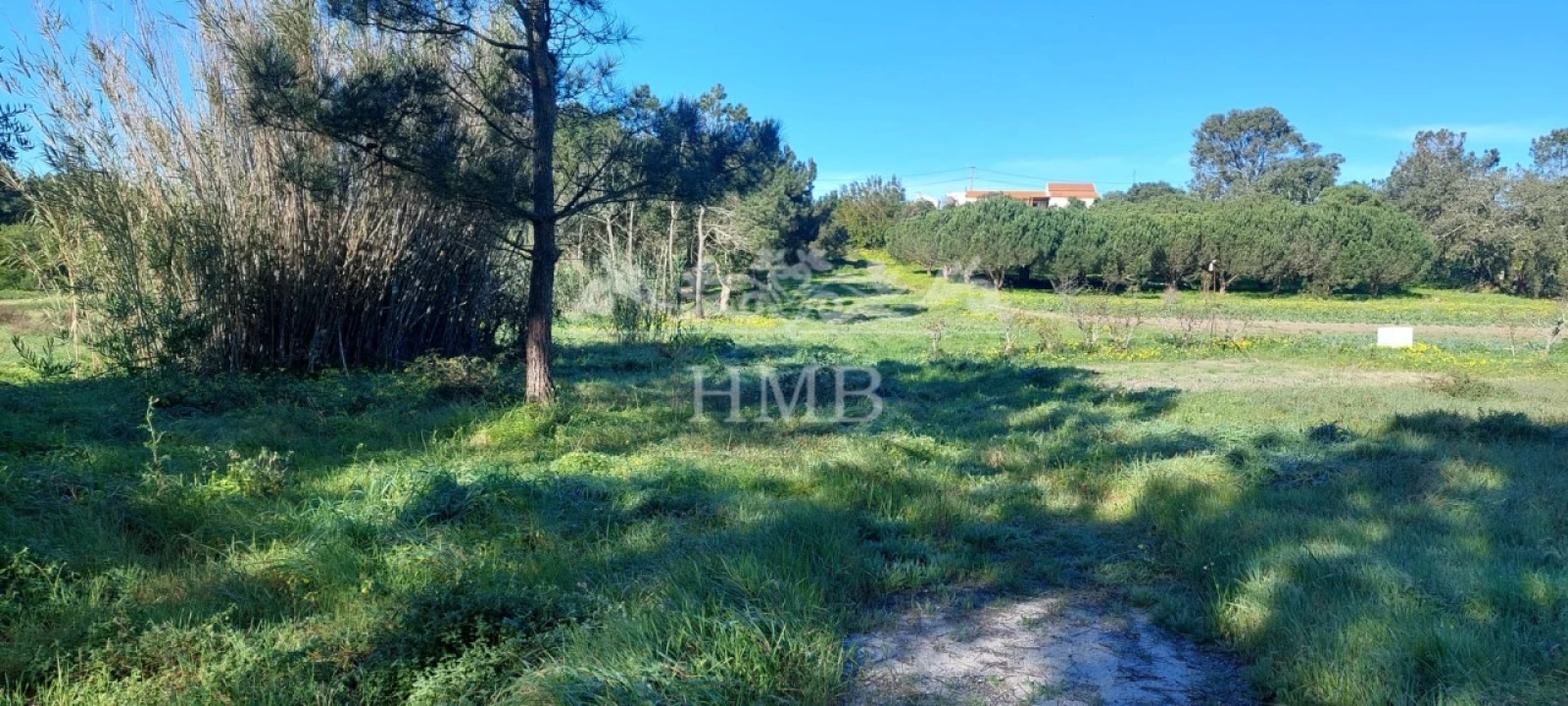 Terreno para Venda em Rogil Foto 13